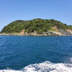 青物パーティー