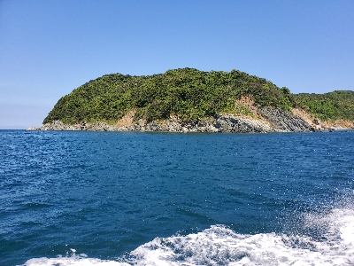 青物パーティー