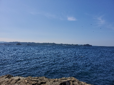 アオリイカ～！！