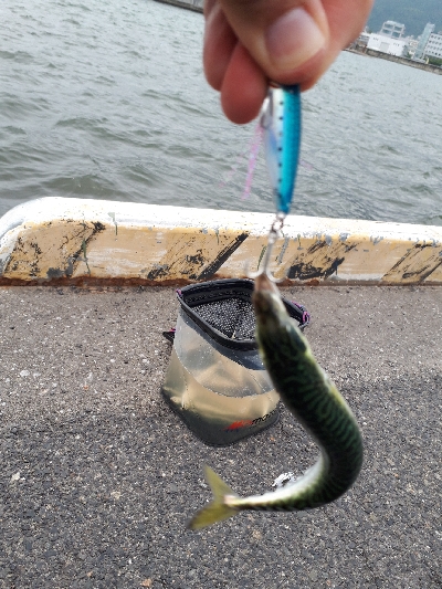 当面、サバゲーが続くのかなぁ~