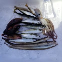 久しぶりに色々な釣り方しました！