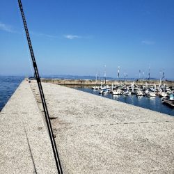 キスを釣りたくて