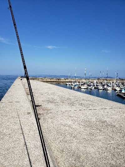 キスを釣りたくて