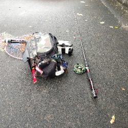 小雨の中でクロダイ2尾ゲット