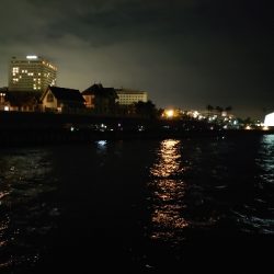 連日アオリGET!!