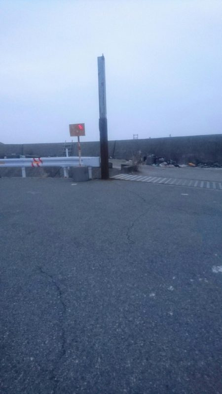 タコ釣れました。