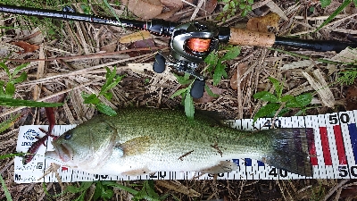 フリーリグでした