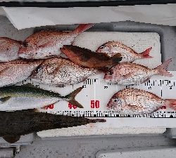 キャスティング