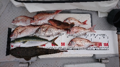 キャスティング