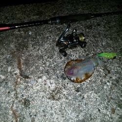 雨が降る前に何とか一杯を、、、