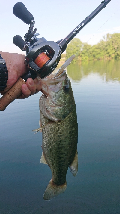 サカマタシーズン