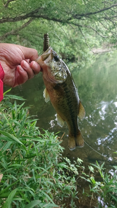 スピニングゲーム