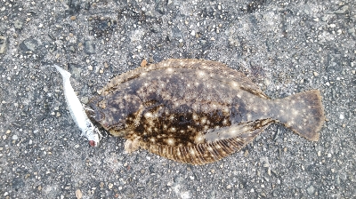 リリースサイズばっかり