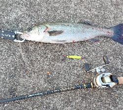 今年も停泊船ゲーム!