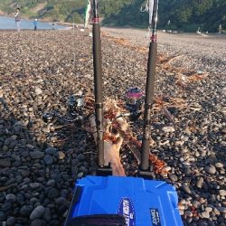 貧果ですが楽しめたからいいか！