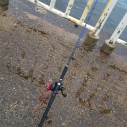 またまた雨との戦い