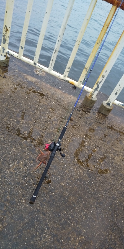 またまた雨との戦い
