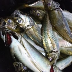 フロートアジング