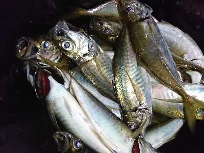 フロートアジング