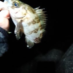 いつまで続く？