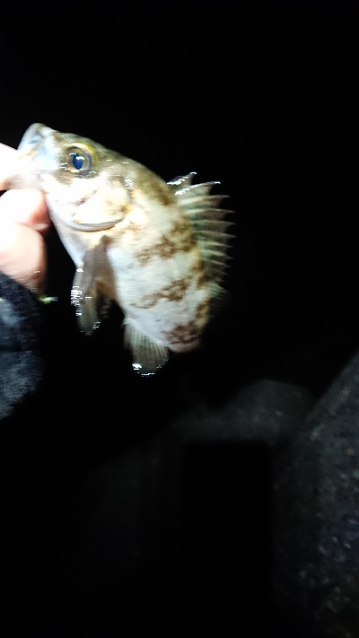 いつまで続く？