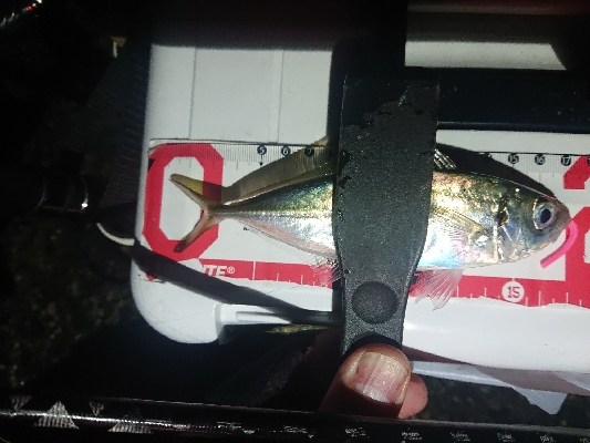 うれしいゲスト