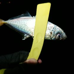 だいぶ渋くなった