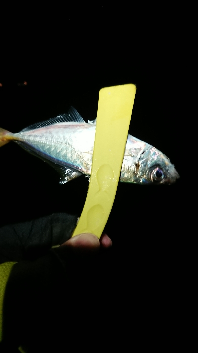 だいぶ渋くなった