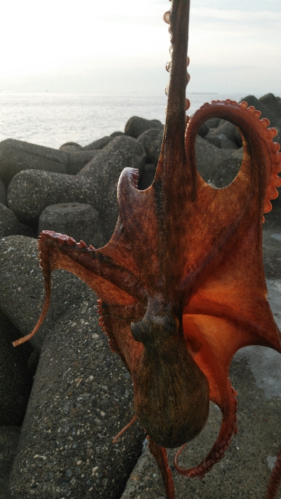 昼まで粘って13匹総重量4.5kgOVER…