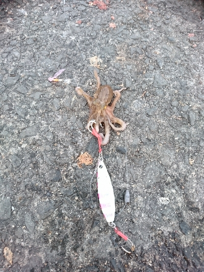 緊急事態宣言解除後のｼﾞｮｱｼﾞｷﾞ＆ちょ…