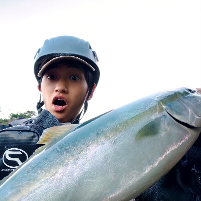 朝マズメにハマチ！