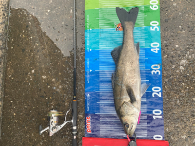 昨日に続けと...