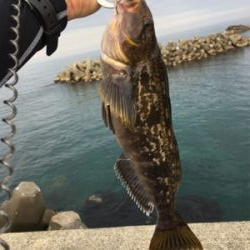 夕まずめアタック