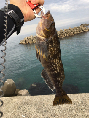 夕まずめアタック