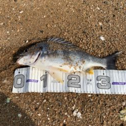 やっとのことで