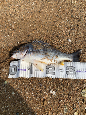 やっとのことで