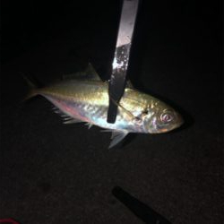 夕まづめ短時間