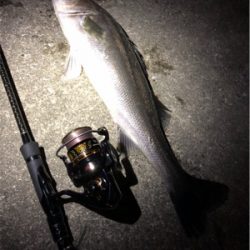 ジャークでドン！