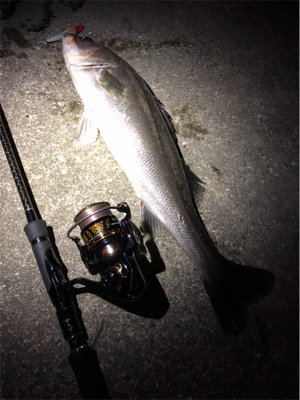 ジャークでドン！