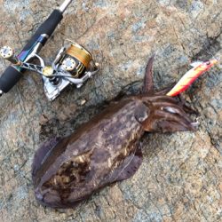 紋甲イカは朝まずめが熱い♪GUNNING-STYLE