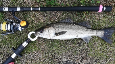 ソルト/メバリング0655〜0730 18…