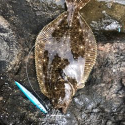 ショアジギング　ヒラメ　アイナメ　自作ジグ