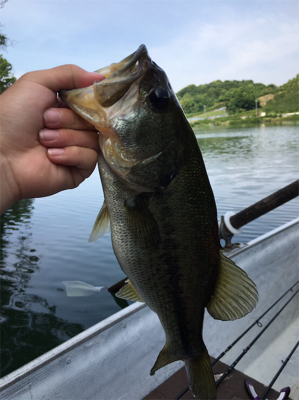 ギルフラットJR サイコー