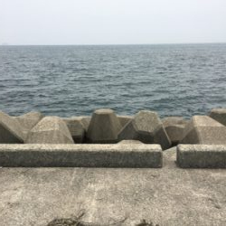 ショアジギング