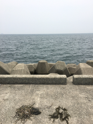 ショアジギング