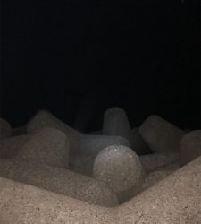 オクトパッシング