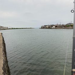 久しぶりの投稿です