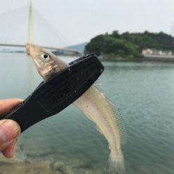 キスちょい投げ