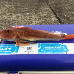 マイボートでタイラバ釣行