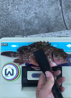 ライトワインド